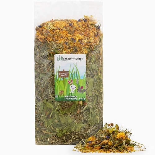 CO W TRAWIE PISZCZY MIESZANKA TRAW I ZIÓŁ FACTORYHERBS 500G