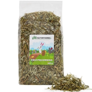 ZIELE PIĘCIORNIKA FACTORYHERBS 100G