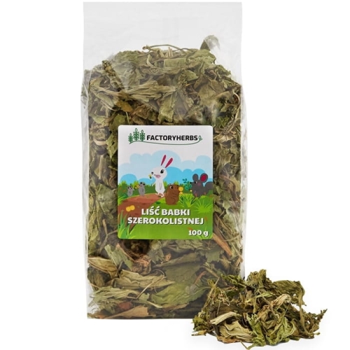 LIŚĆ BABKI SZEROKOLISTNEJ FACTORYHERBS 100G