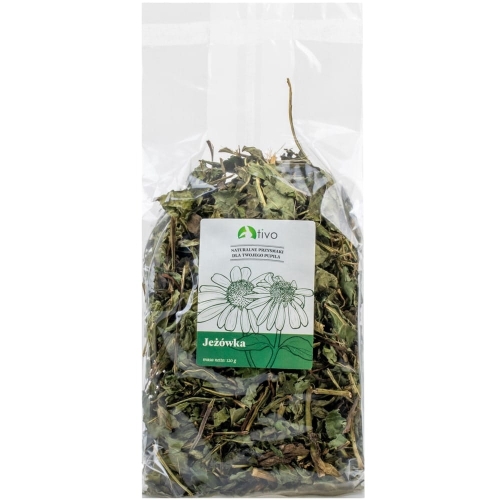 JEŻÓWKA PURPUROWA TIVO 120G