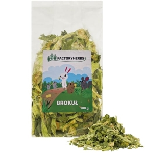 BROKUŁ SUSZONY FACTORYHERBS 100G