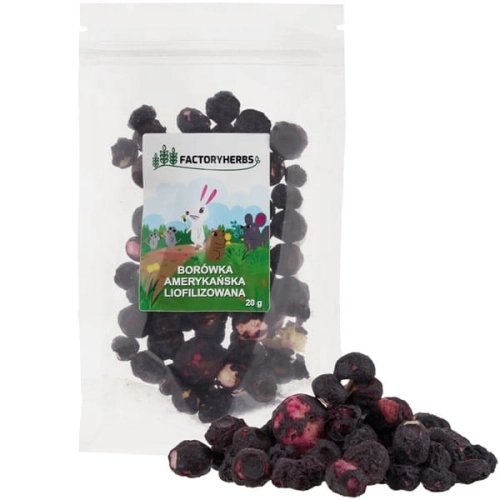 BORÓWKA AMERYKAŃSKA LIOFILIZOWANA FACTORYHERBS 20G