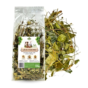 LIŚĆ POZIOMKI 100G SAMFARM
