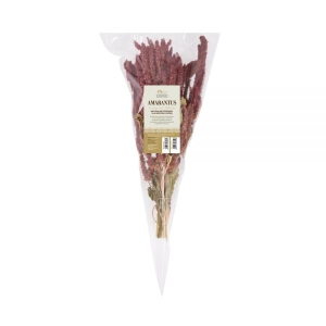 AMARANTUS KŁOSY TIVO 80G