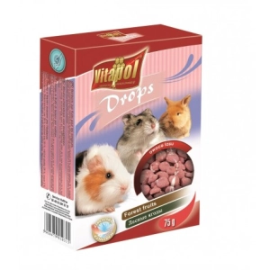 DROPSY DLA GRYZONI OWOCE LASU 75G VITAPOL