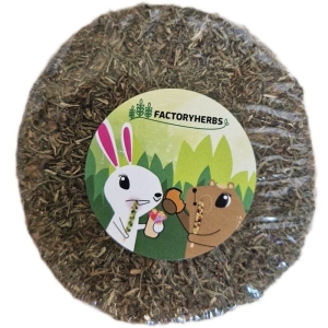 KRĄŻEK BRZOZOWY Z KOLENDRĄ FACTORYHERBS 1SZT