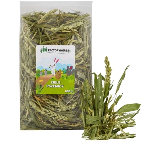 ZIELE PSZENICY FACTORYHERBS 100G