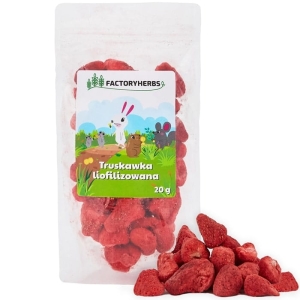 TRUSKAWKA LIOFILIZOWANA FACTORYHERBS 20G