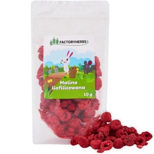MALINA LIOFILIZOWANA FACTORYHERBS 10G