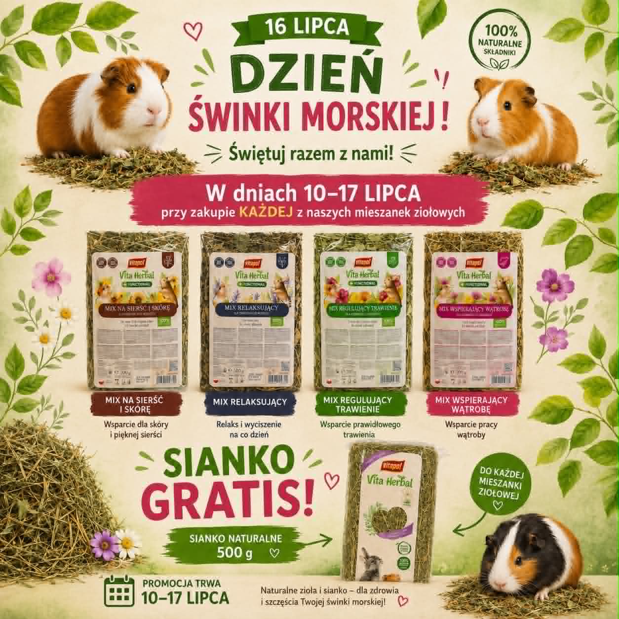 DZIEŃ ŚWINKI MORSKIEJ