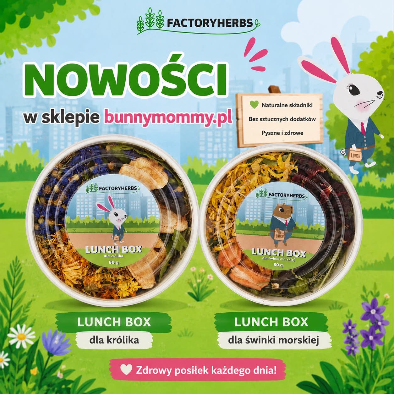Lunch box Factory Herbs
